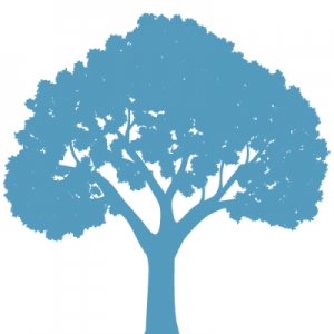 Image 4 from Caliq Software Ltd