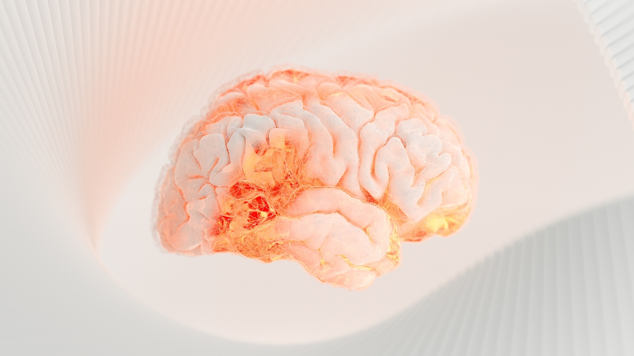 computer brain image