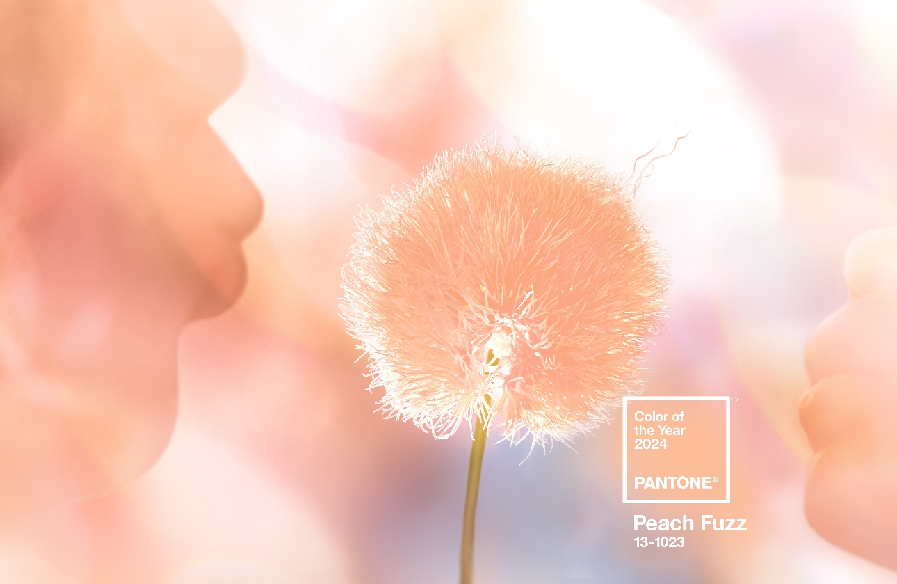 Feeling peachy with Pantone's Colour swatch