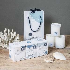 The Sea Shed Ltd  