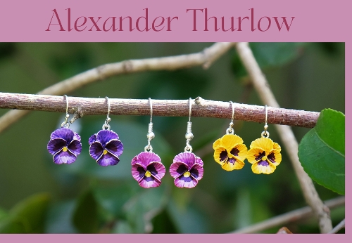 Image 2 from Alexander Thurlow & Co Ltd