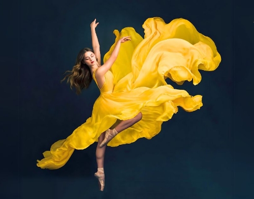 Image 1 from Ark Expos