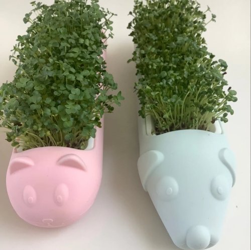 Image 1 from Broccoli & Bees
