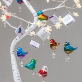 Thumbnail image 2 from Wild Things Gifts Ltd